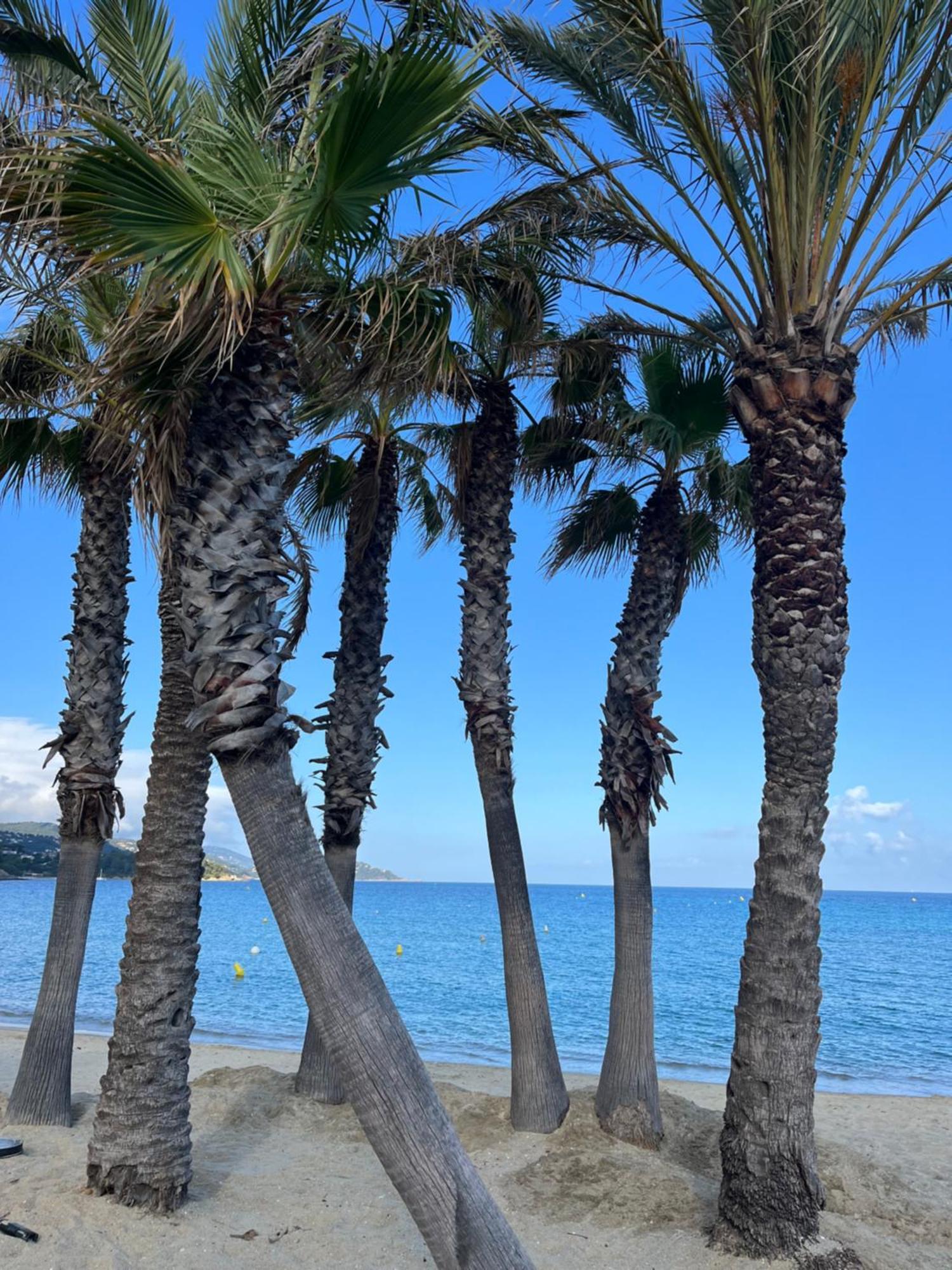 Le Lavandou St Clair 外观 照片